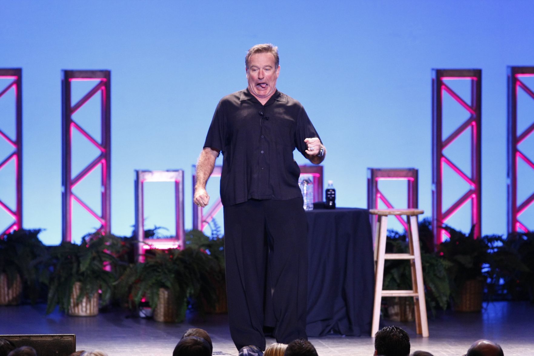 Robin Williams -- 2009